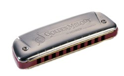Hohner Golden Melody Diatonic Harmonicas 542 harmonica