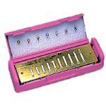 Hohner Reed Plates RP565 harmonica
